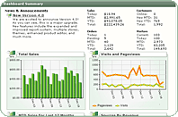 Advanced Website Analytics