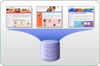 Multiple Storefronts Database