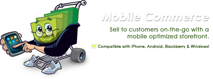 Mobile Optimized Storefront