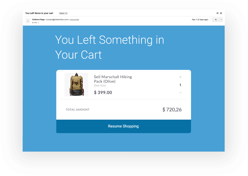 Cart Abondon Email Example